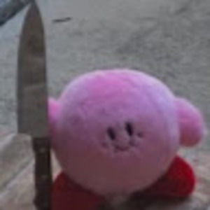 Meet your Posher, Abigail